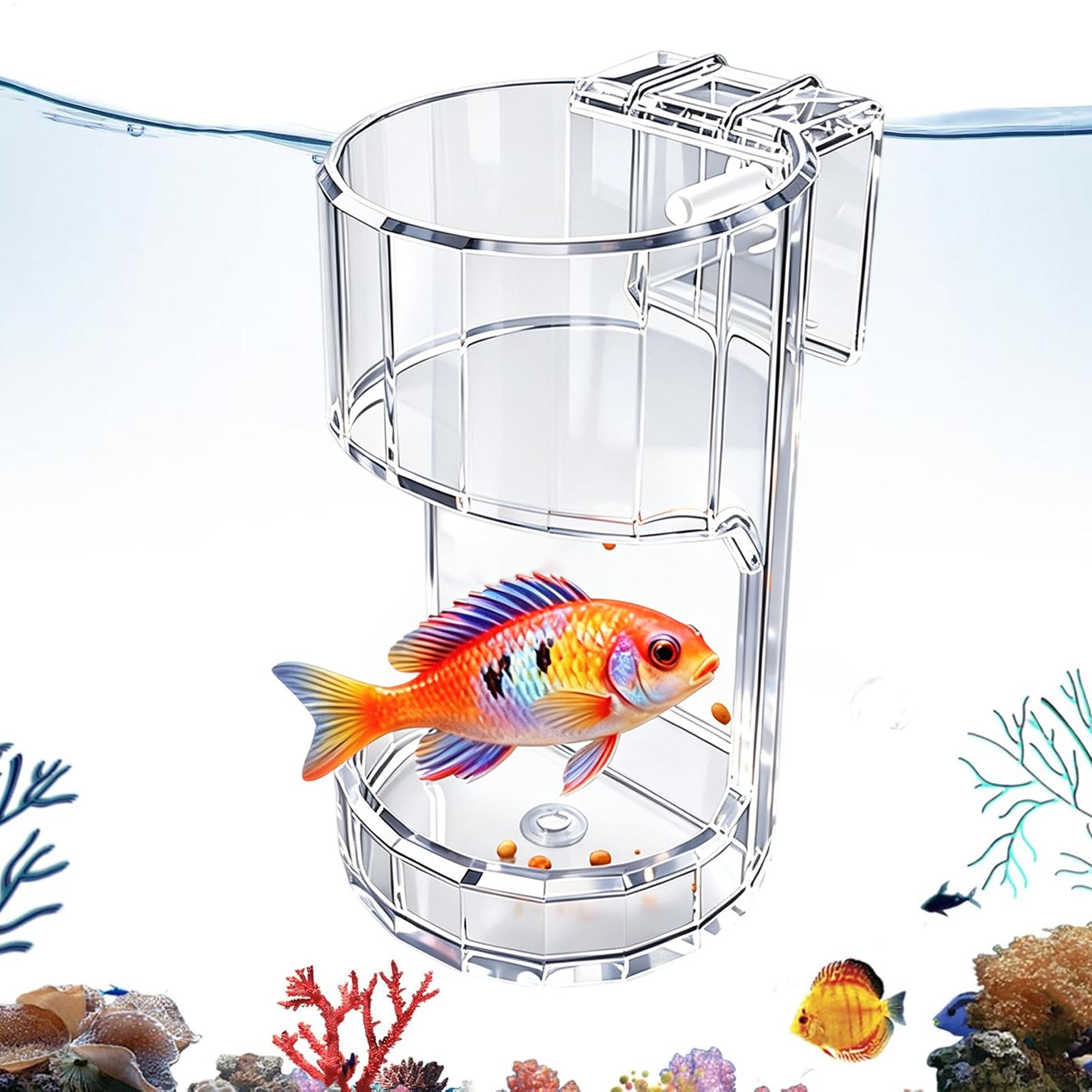 ชามใส่อาหารปลาตู้ปลาแบบโปร่งใส - Food Storage In Room บทวิจารณ์และราคา